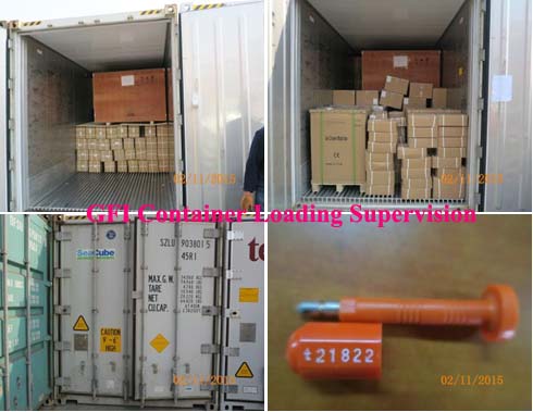 Container Loading Supervision (CLS)