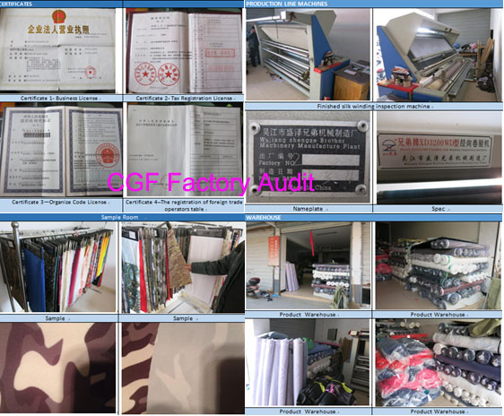 China Extensive Factory Audit/Inspections