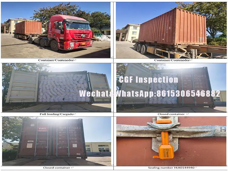 Container Loading Supervision (CLS) in China-to-Mexico Shipments